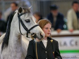 Salon du Cheval